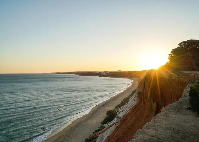 Villa Falesia Ocean By The Portuguese Butler